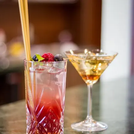 Hotel Viliam Frano 4*